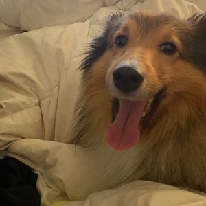 Meet your Posher, Genevieve